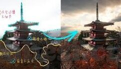 糖心app兑换码入口-甜蜜的兑换，解锁糖心APP的秘密通道